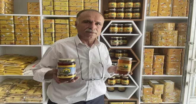 Bitki çeşitliliği açısından zengin Artvin'de bu yıl 800 ton bal üretildi
