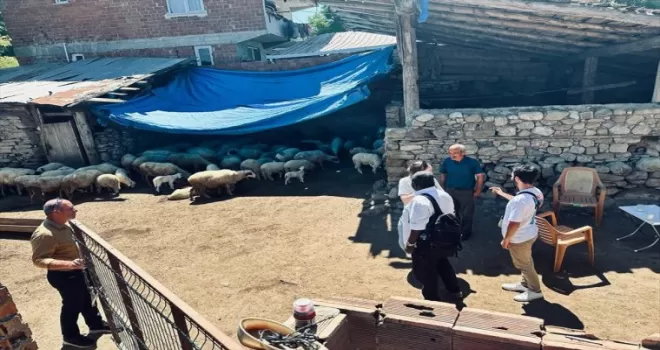BM Bağımsız Denetleme Ofisi heyeti Boyabat’ta incelemelerde bulundu