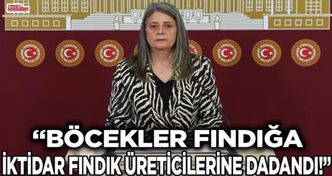  “BÖCEKLER FINDIĞA, İKTİDAR FINDIK ÜRETİCİLERİNE DADANDI!”