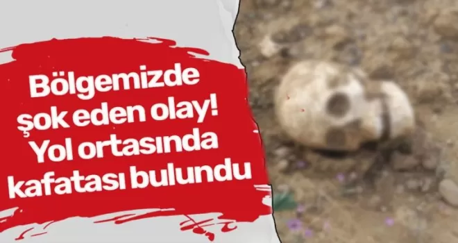 Bölgemizde şok eden olay! Yol ortasında kafatası bulundu