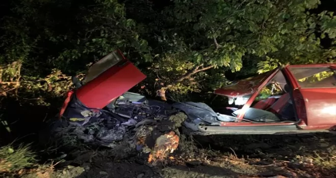 Bolu'da ağaca çarparak ikiye ayrılan otomobildeki 2 çocuk yaralandı