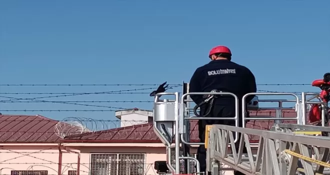 Bolu’da bahçe tellerine takılan karga kurtarıldı