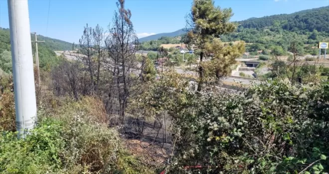 Bolu’da çıkan orman yangını büyümeden söndürüldü