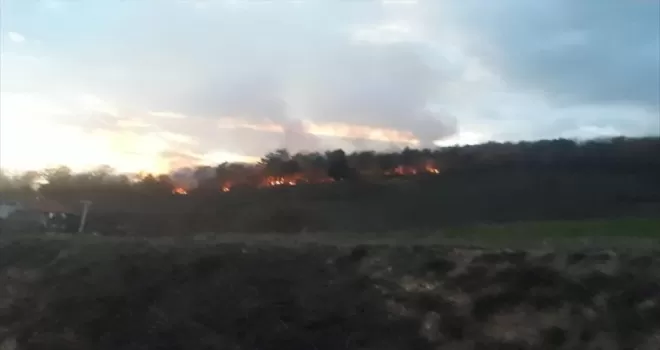 Bolu'da çıkan orman yangını söndürüldü