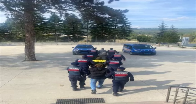 Bolu'da kaçak ağaç kesimi yapan 5 kişi yakalandı