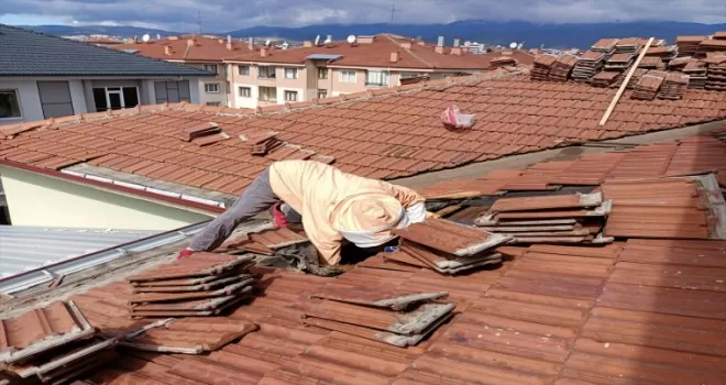 Bolu'da okulun tadilat yapılan çatısındaki arı yuvaları temizlendi