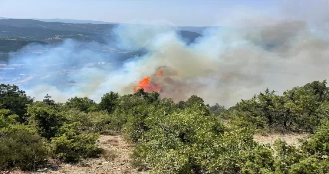 Bolu’da orman yangınına müdahale ediliyor