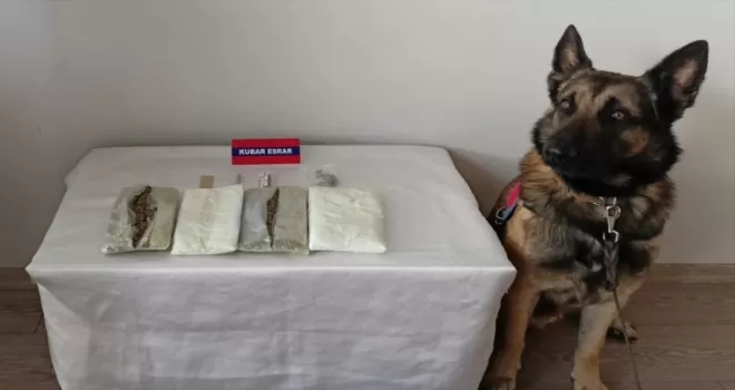 Bolu'da uyuşturucu operasyonunda 1 şüpheli yakalandı