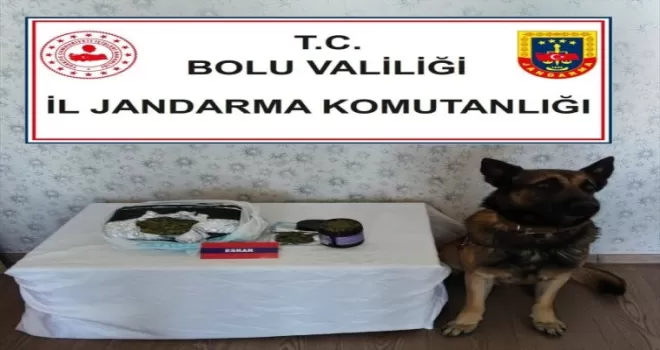 Bolu’da uyuşturucuyla yakalanan yolcu gözaltına alındı