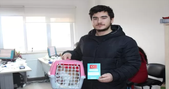 Bolu'da ve Karabük'te 8 bin 820 evcil hayvan kayıt altına alındı