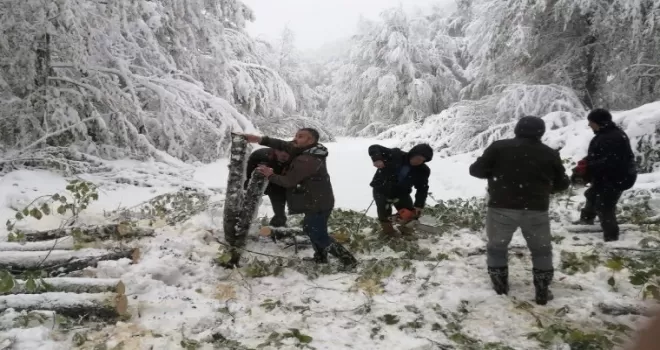 Bolu’da yayla yolunda mahsur kalan 4 kişinin yardımına ormancılar yetişti