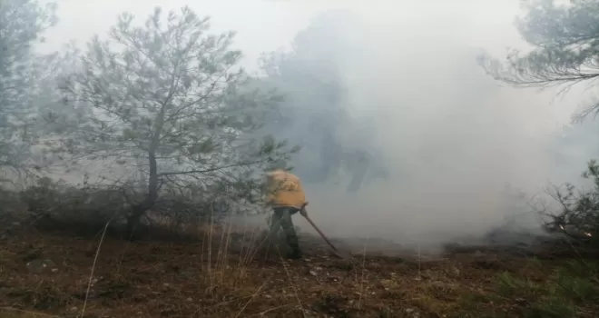 Bolu’da yıldırımın  isabet etmesi soncu orman yangını çıktı