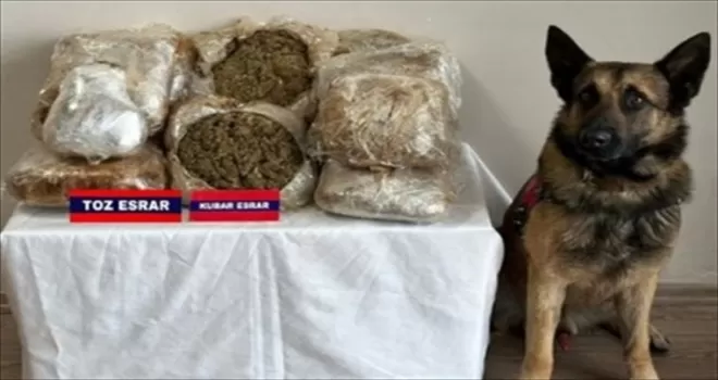 Bolu’da yolcu otobüsünde 17,5 kilogram uyuşturucu ele geçirildi