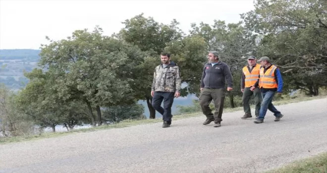 Bolu'daki Gölköy Barajı'nda kıyıya vuran ölü balıklar toplanıyor