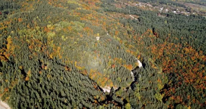 Bolu'daki ormanlar yeşil, sarı ve kahverenginin farklı tonlarına büründü