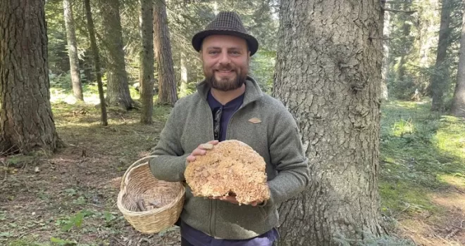 Bolu’daki yaylalar mantar meraklılarına ev sahipliği yapıyor