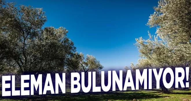 Bu işi yapacak eleman bulunamıyor! Günlük 3 bin lira verilecek