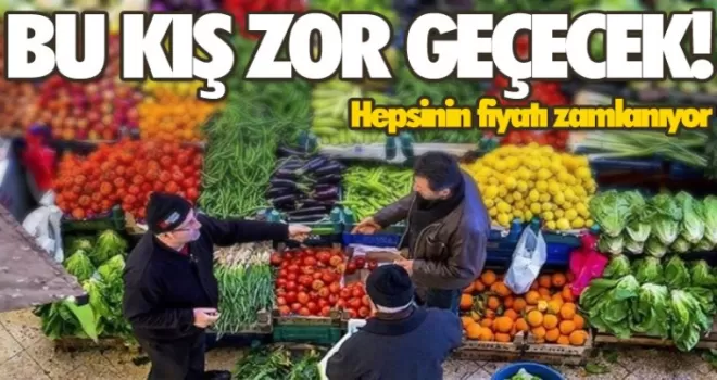 Bu kış çok zor geçecek! Hepsinin fiyatı zamlanıyor