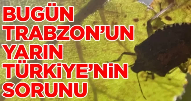 Bugün Trabzon’un, yarın Türkiye’nin sorunu