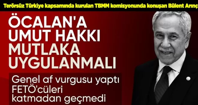 Bülent Arınç: Abdullah Öcalan için umut hakkı uygulanmalı