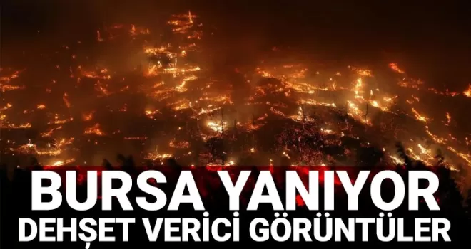 Bursa yanıyor! Dehşet verici görüntüler