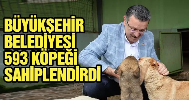 BÜYÜKŞEHİR BELEDİYESİ 593 KÖPEĞİ SAHİPLENDİRDİ