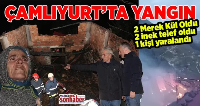 Çamlıyurt’ta yangın