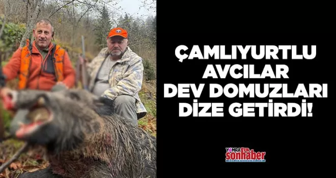 Çamlıyurtlu Avcılar Dev Domuzları Dize Getirdi