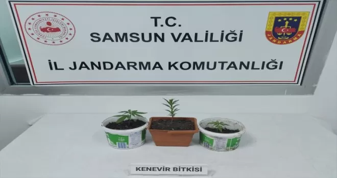 Çarşamba’da uyuşturucu operasyonunda 1 zanlı yakalandı
