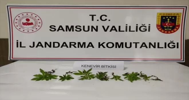 Çarşamba’da uyuşturucu operasyonunda 1 zanlı yakalandı