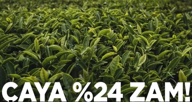 Çay fiyatlarına zam geldi!