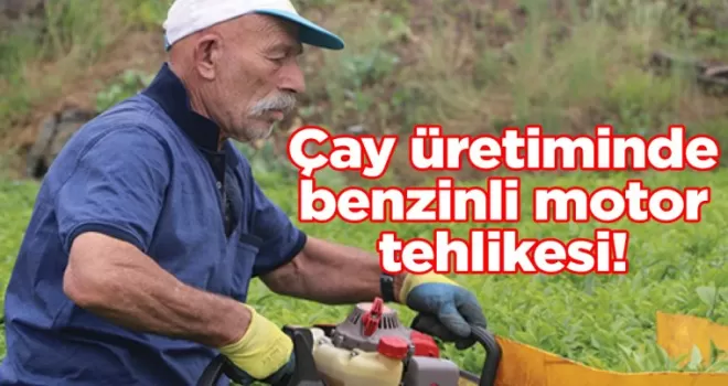 Çay üretiminde benzinli motor tehlikesi!