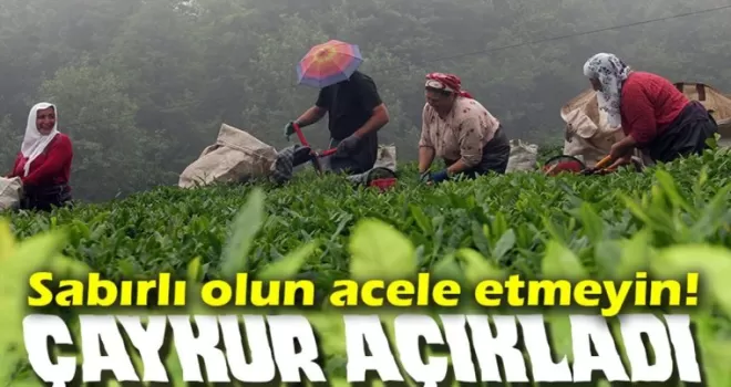 ÇAYKUR’dan Önemli Açıklama: “Çayın En Güzel Bekleme Yeri Bahçedir“