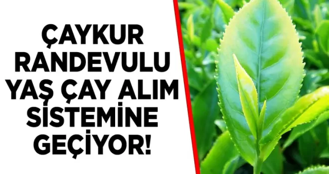 ÇAYKUR randevulu yaş çay alım sistemine geçiyor!