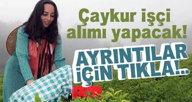 ÇAYKUR Rize, Artvin, Trabzon ve Giresun’da 1072 İşçi Arıyor