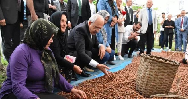 CHP Genel Başkanı Kılıçdaroğlu, Giresun'da fındık üreticilerini ziyaret etti