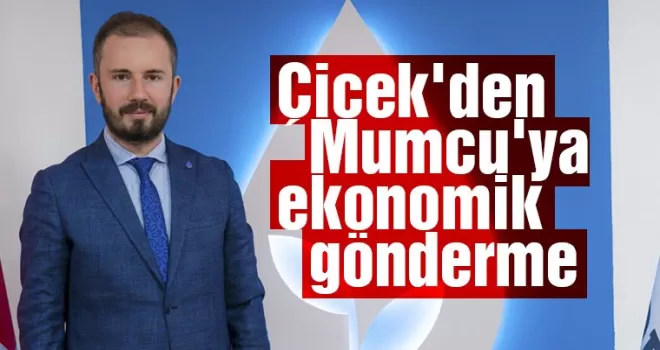 Çiçek'den Mumcu'ya ekonomik gönderme
