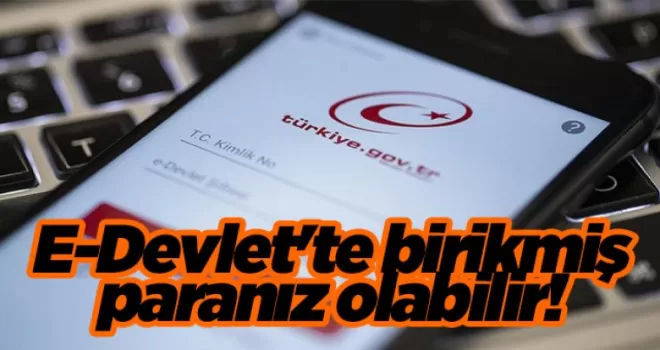 Çoğu kişinin haberi bile yok! E-Devlet’te birikmiş paranız olabilir!