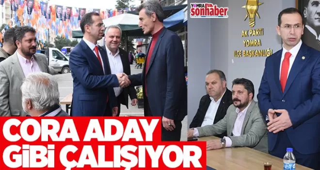 Cora aday gibi çalışıyor!