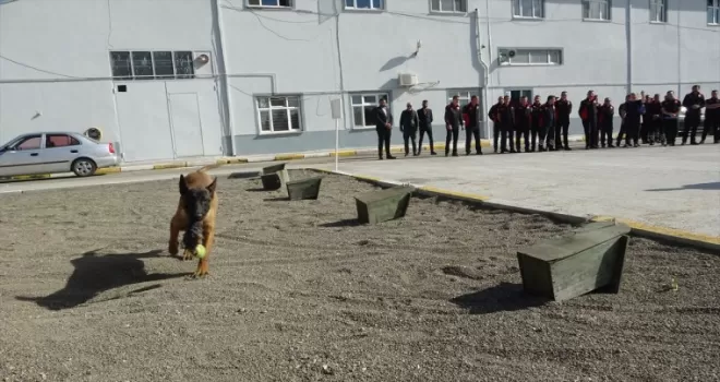 Çorum Belediyesi afetler için arama kurtarma köpeği yetiştiriyor