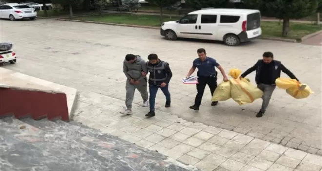 Çorum'da evinde kenevir yetiştirdiği iddiasıyla 1 kişi yakalandı