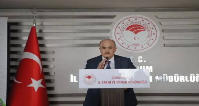 Çorum’da hayvancılık ve seracılık DOKAP’ın hibe desteğiyle büyüyecek