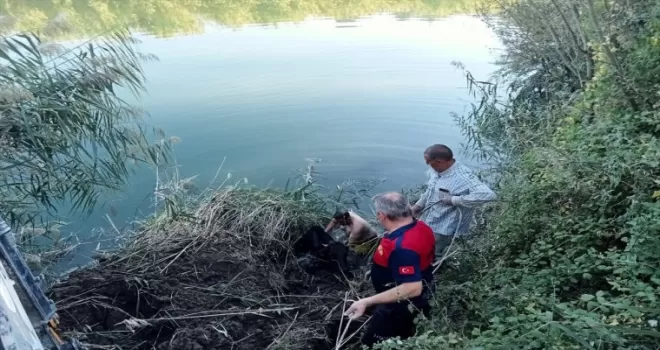 Çorum’da nehre düşen inek kurtarıldı