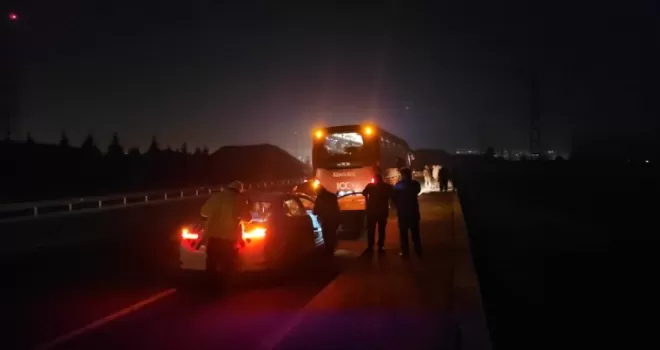 Çorum’da otobüsün çarptığı eşek telef oldu