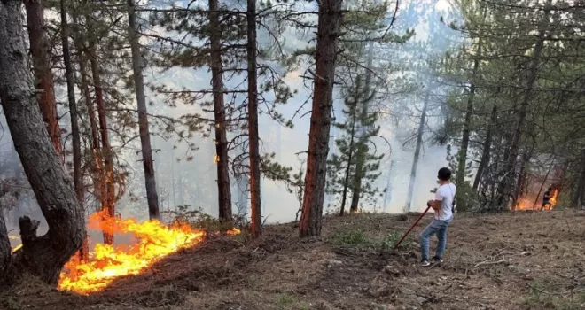 Çorum'un Bayat ilçesindeki orman yangınına müdahale ediliyor