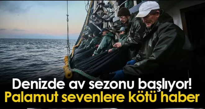 Denizde av sezonu başlıyor! Palamut sevenlere kötü haber