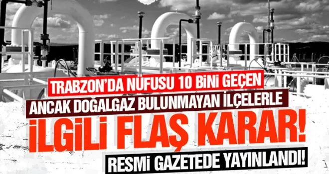 Doğalgaz bulunmayan ilçelerle ilgili flaş karar!