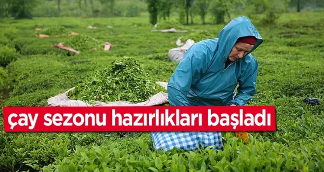 Doğu Karadeniz’de çay sezonu hazırlıkları başladı