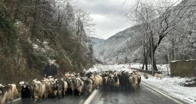Doğu Karadeniz’de ulaşım sağlanamayan 395 köy yolundan 287’si açıldı