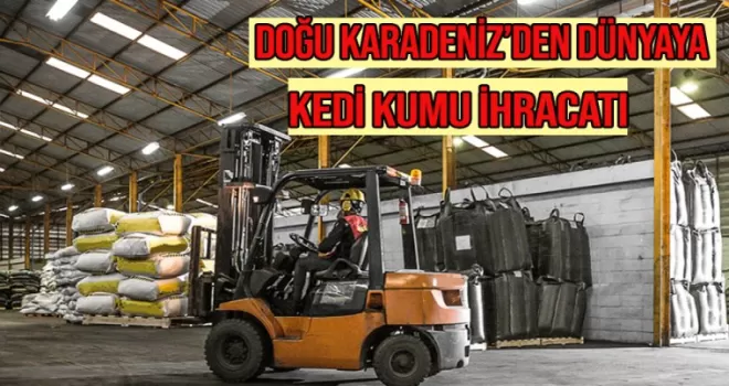 Doğu Karadeniz'den dünyaya kedi kumu ihracı
